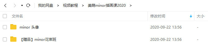 美萌minor头像插画教程2020年新课高清有素材  第2张