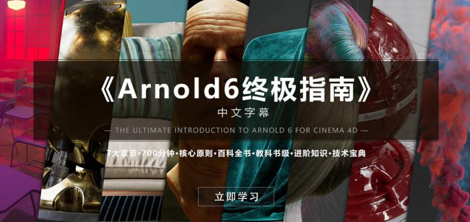 Arnold6 阿诺德终极指南【中文字幕画质高清有工程文件】