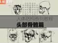 祝凯素描课程·硬性知识·头部骨骼