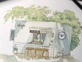 零基础小清新钢笔淡彩课程
