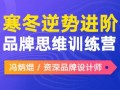 冯炳焜品牌思维训练营2020第二期【画质高清】