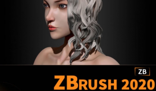 周达学Zbrush入门教程  第1张