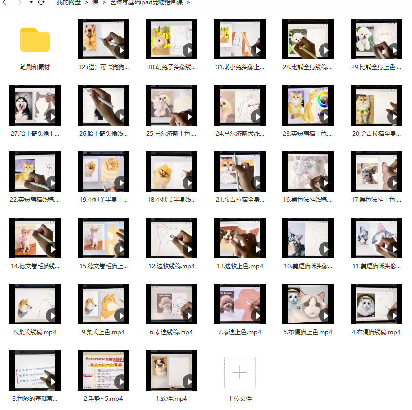 艺琳 零基础ipad宠物绘画课  第2张