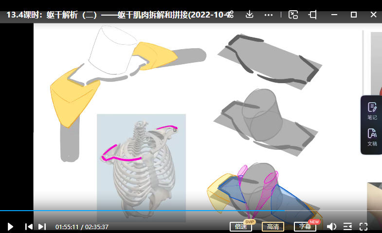 大木画画人体结构第7期  第3张