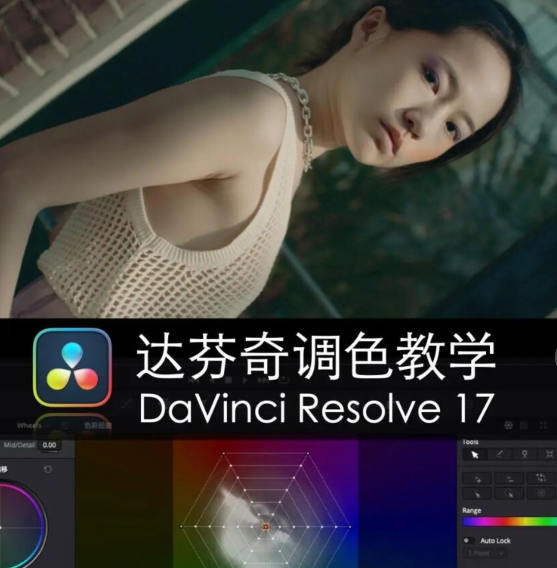 舞光弄影达芬奇调色教学(DaVinci Resolve17速成教学大师指南课)