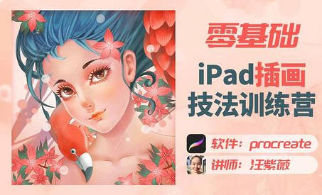 汪紫薇零基础ipad插画技法实训课  第1张