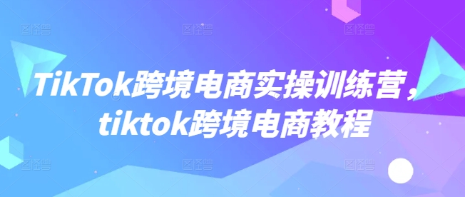 TikTok跨境电商实操训练营，tiktok跨境电商教程  第1张