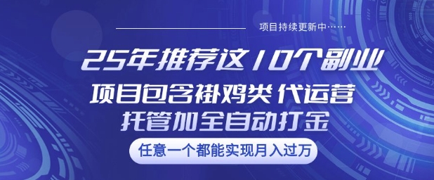 25年推荐这10个副业项目包含褂鸡类、代运营托管类、全自动打金类【揭秘】  第1张