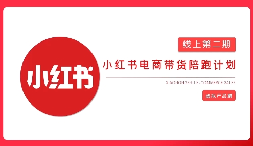 2025小红书虚拟电商实战课，从0到1打造无货源店铺，AI+爆款笔记轻松变现  第1张