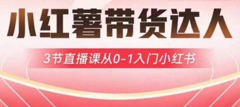 小红薯达人带货启航计划，3节直播课从0-1入门小红书  第1张