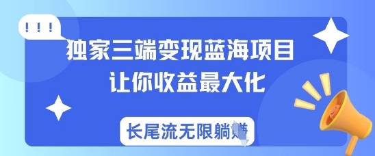 独家三端变现蓝海项目，让你收益最大化，长尾流无限躺挣  第1张