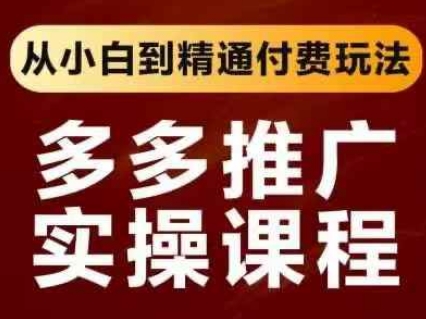 拼多多推广实操课程，从小白到精通付费玩法  第1张
