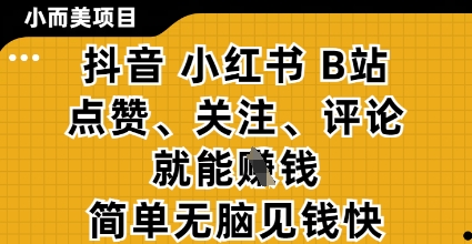 小而美的项目，抖音小红书B站视频点赞、关注、评论就能挣钱，简单无脑立见收益，妥妥的零撸项目【揭秘】  第1张