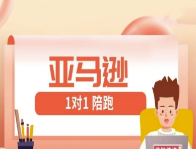 亚马逊1对1陪跑课(FBA/FBM精铺)跨境亚马逊教程  第1张