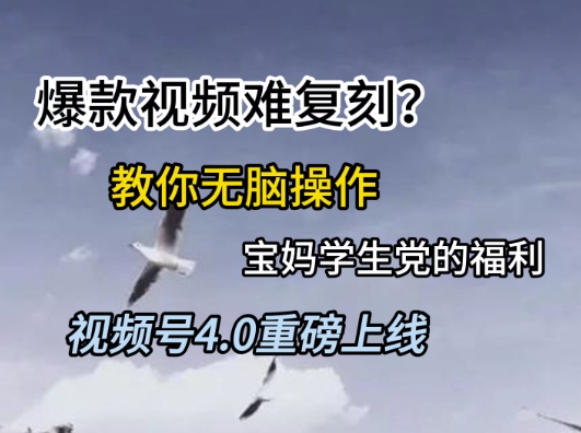 视频号4.0重磅上线，爆款视频难复刻？教你无脑操作宝妈学生党的福利【揭秘】  第1张