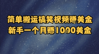 简单搬运搞笑视频挣美金，新手一个月入1k美金  第1张
