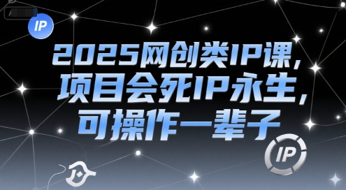 2025网创类IP课，项目会死IP永生，可操作一辈子  第1张