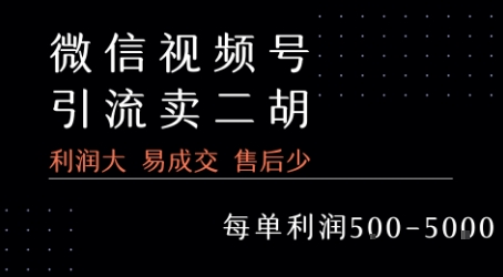 视频号卖二胡教程，利润大 易成交 售后少，一单利润5张+  第1张