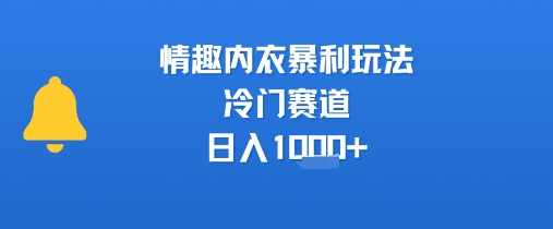 情趣内衣暴利玩法，冷门赛道，日入1k+  第1张