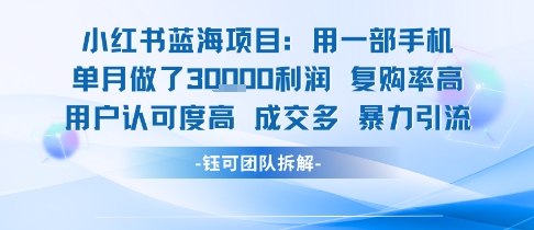 小红书蓝海项目，一部手机单月做了3W利润，小白也能月入过1W用户认可度高成交多  第1张