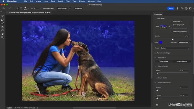 LinkedIn – Photoshop and Lightroom: Masking Essentials