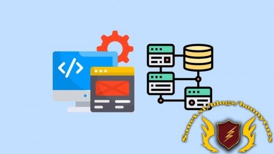 Build web applications with Python,Flask,Django,Databases