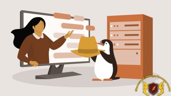Complete Guide to Red Hat Enterprise Linux 9