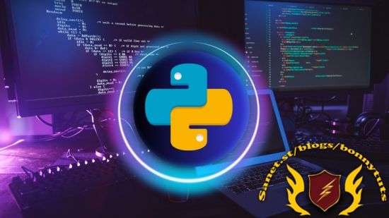 Python Programming for Beginners: Learn Python from Scratch (2024)