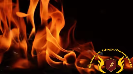 Combustion CFD Simulation by ANSYS Fluent  第1张