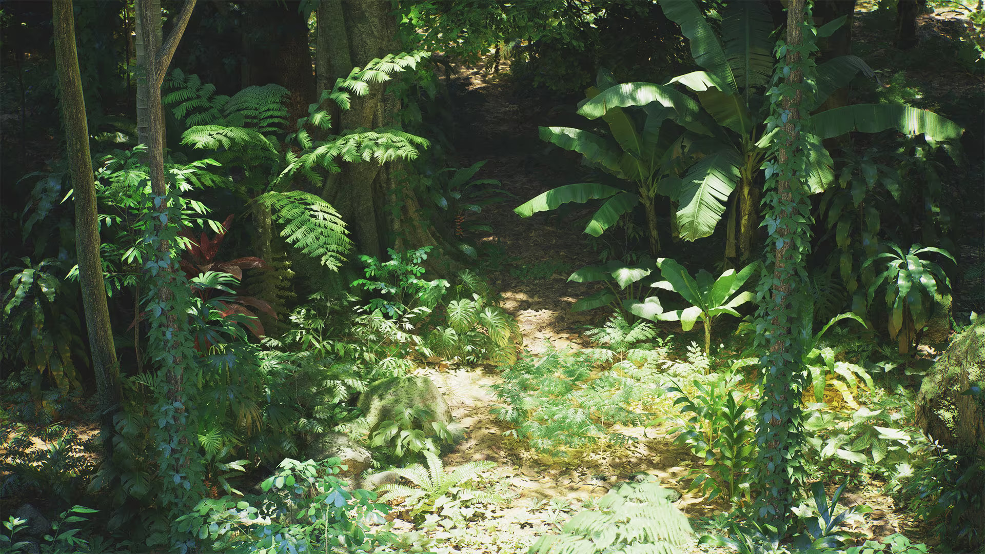 Unreal Engine Marketplace – Rain Forest Pack  第1张