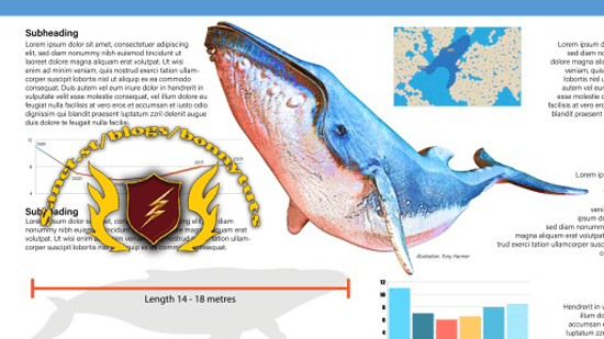 Creating Illustrator Infographics (2022)  第1张