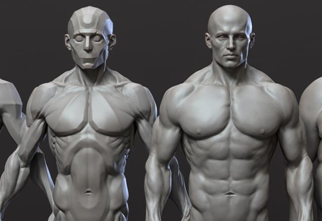 CGBump – Zbrush Intermediate Anatomy Male and Female