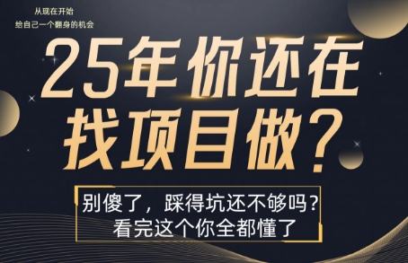 25年，你还在疯狂的找项目吗？别傻了，看完这个你都懂了【揭秘】  第1张